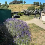 Lacouty, Le Paradis Vous Attend! Junhac