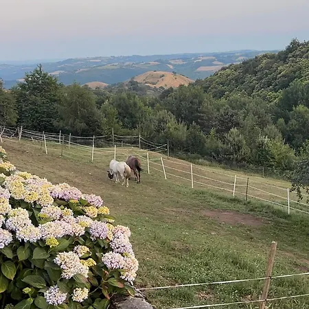 Lacouty, Le Paradis Vous Attend! * Junhac