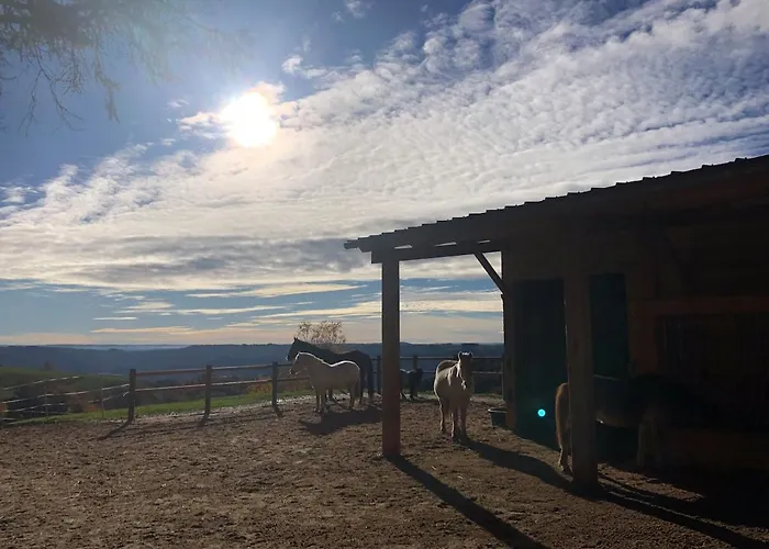 Lacouty, Le Paradis Vous Attend! Lägenhet Junhac