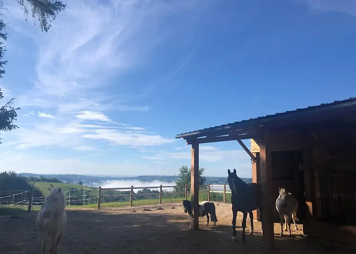 Lacouty, Le Paradis Vous Attend!