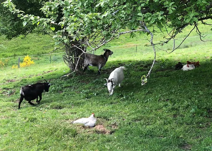 Lägenhet Lacouty, Le Paradis Vous Attend! *