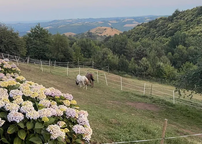 Lacouty, Le Paradis Vous Attend! * Junhac