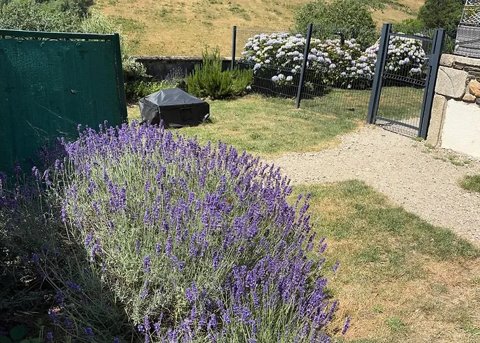 Lacouty, Le Paradis Vous Attend! Junhac